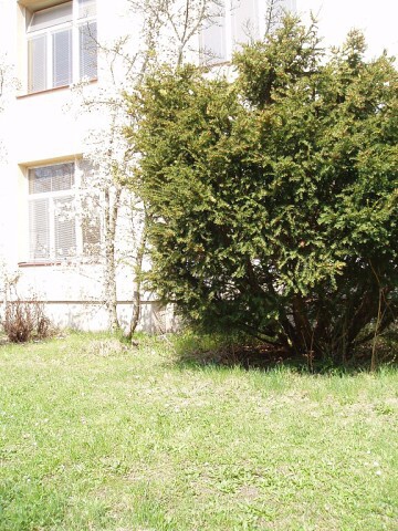 Fotogalerie ZŠ Blatenská