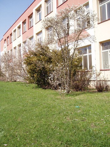 Fotogalerie ZŠ Blatenská