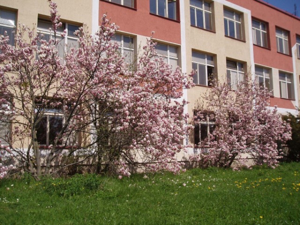 Fotogalerie ZŠ Blatenská
