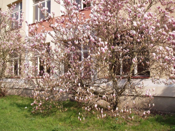 Fotogalerie ZŠ Blatenská