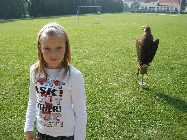 Fotogalerie ZŠ Blatenská