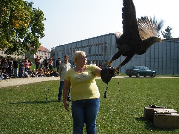 Fotogalerie ZŠ Blatenská