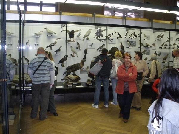 Fotogalerie ZŠ Blatenská