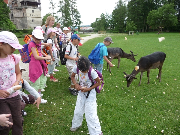 Fotogalerie ZŠ Blatenská