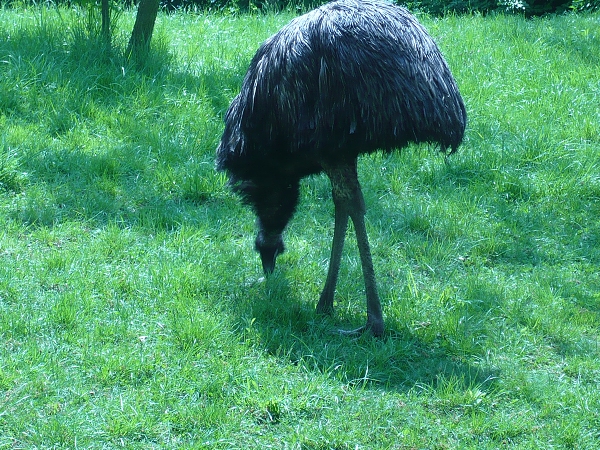 Fotogalerie ZŠ Blatenská