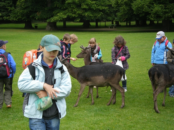 Fotogalerie Z� Blatensk�