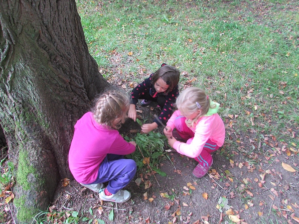 Fotogalerie Z� Blatensk�
