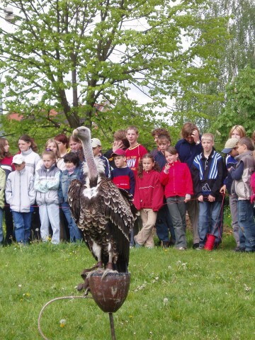 Fotogalerie ZŠ Blatenská