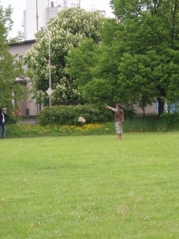 Fotogalerie ZŠ Blatenská
