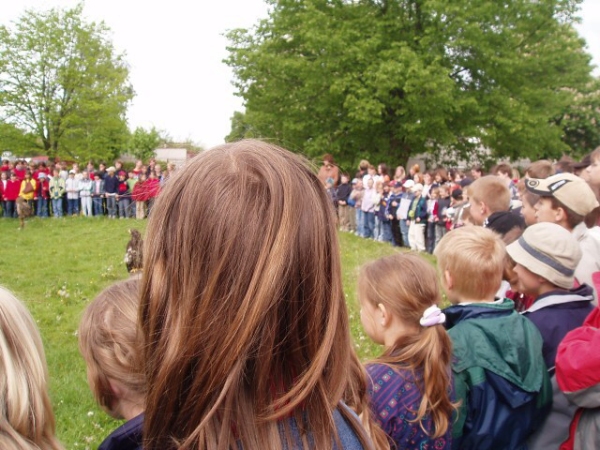 Fotogalerie ZŠ Blatenská